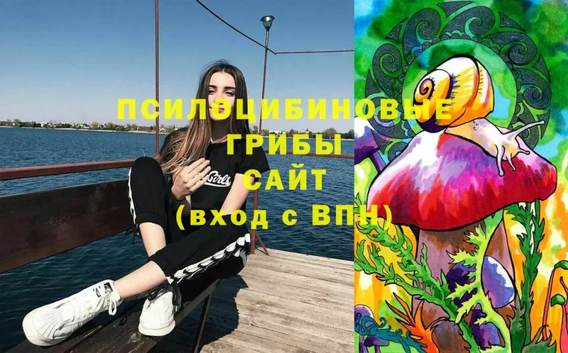 Галлюциногенные грибы MAGIC MUSHROOMS  купить наркотик  Холмск 